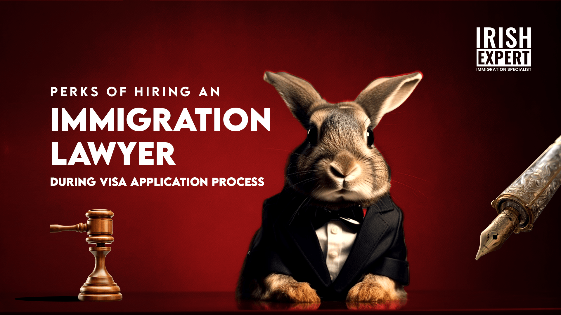 Perks of hiring an Immigration Lawyer during visa application process